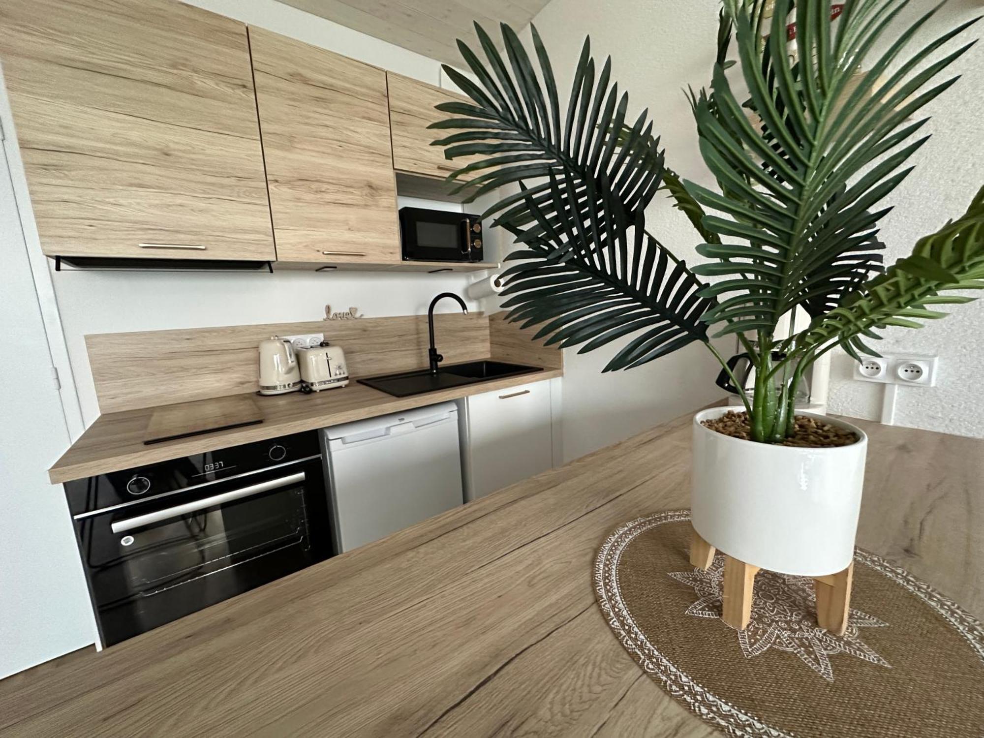 La Dune, Proche Rue Pietonne Et Plage 생장드몽 외부 사진